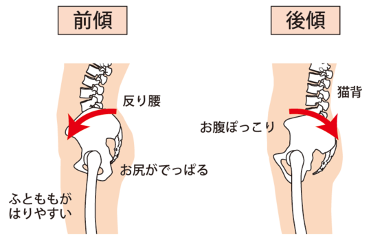 骨盤の歪みでお悩みなら佐倉市のぱんだ整体院 骨盤の歪みでお悩みなら佐倉市のぱんだ整体院